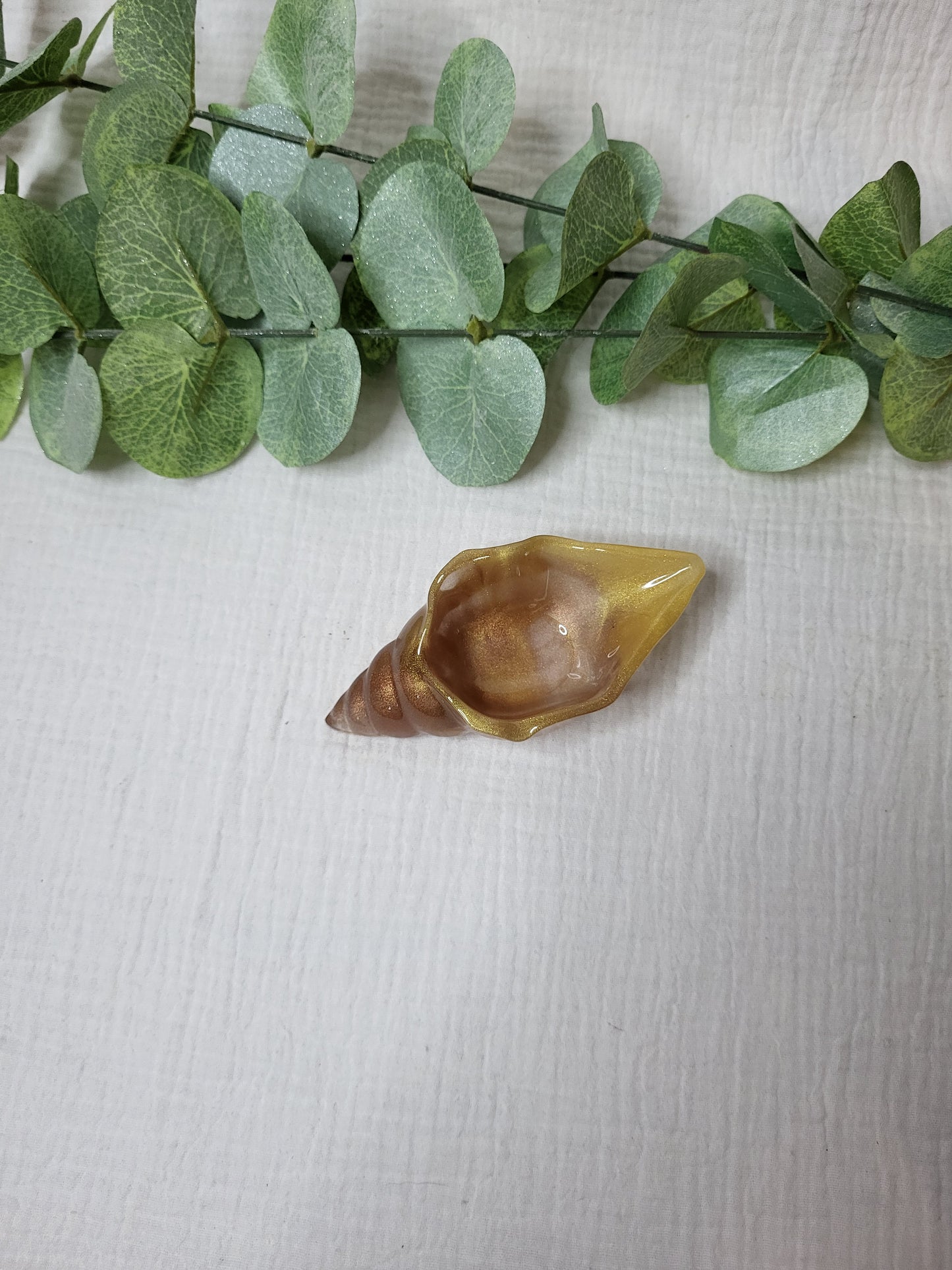 Kleine Muschelschale in verschiedenen Varianten