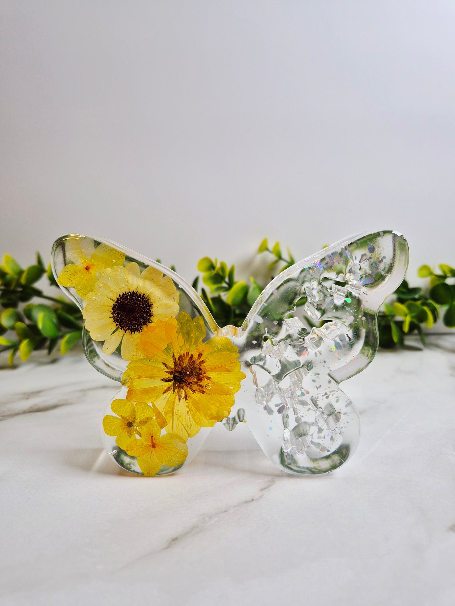 Schmetterlinge mit echten Blumen