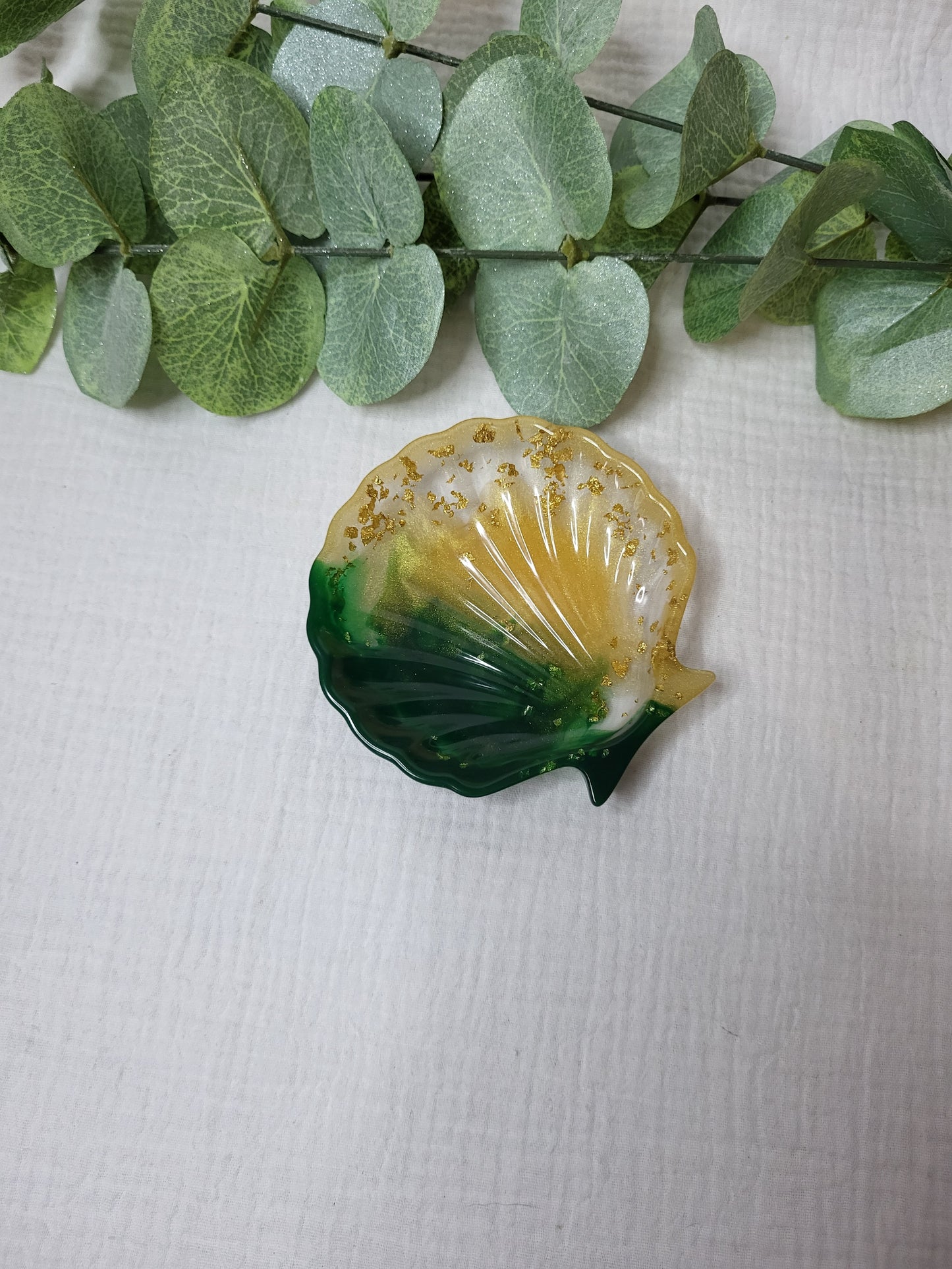 Muschelschale in verschiedenen Varianten