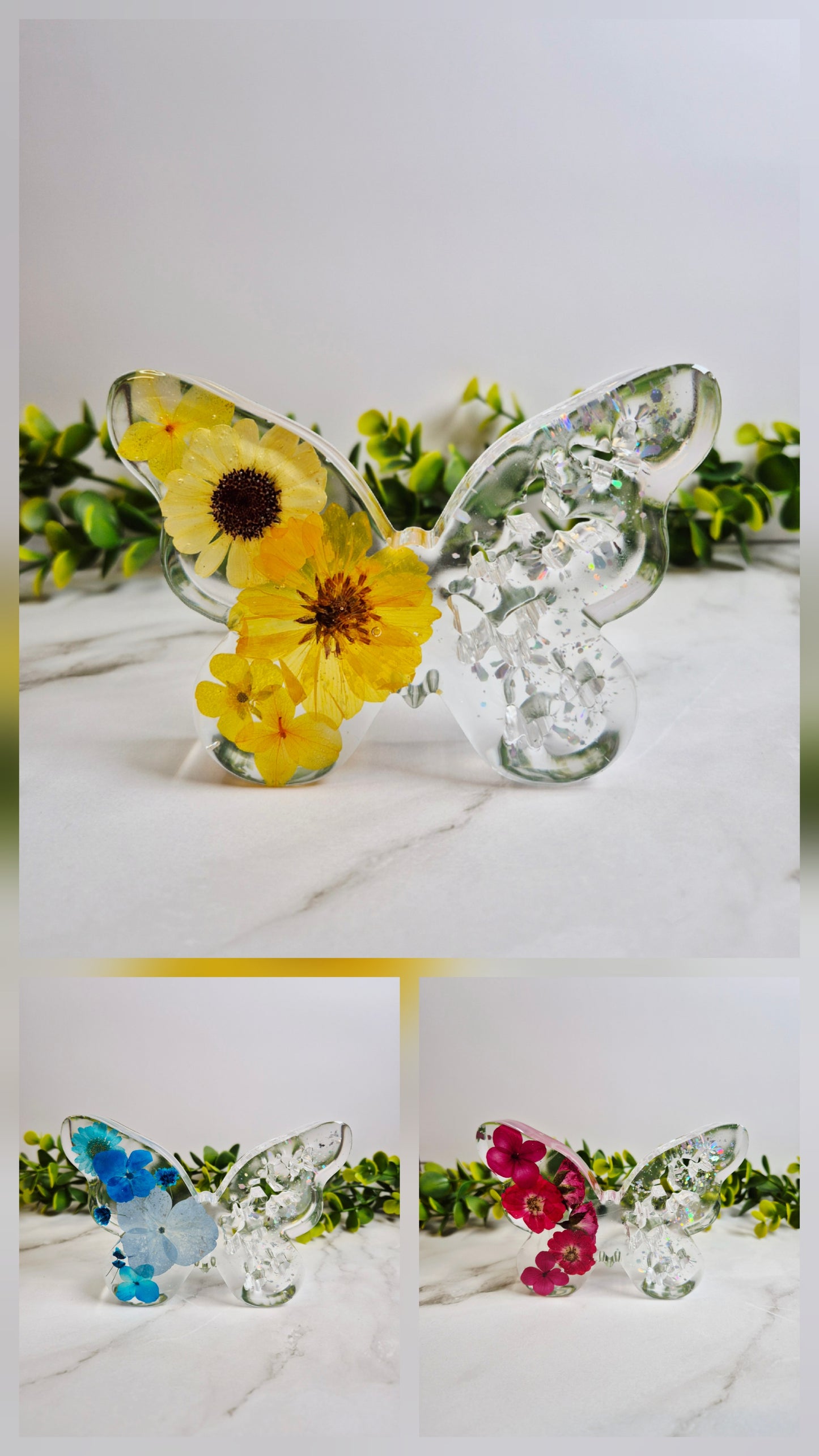 Schmetterlinge mit echten Blumen